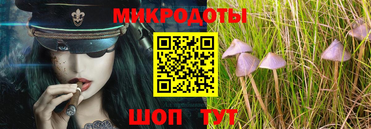 Краснознаменск  Галлюциногенные грибы мухоморы  Псилоцибиновые грибы ЛСД  Вход с VPN 